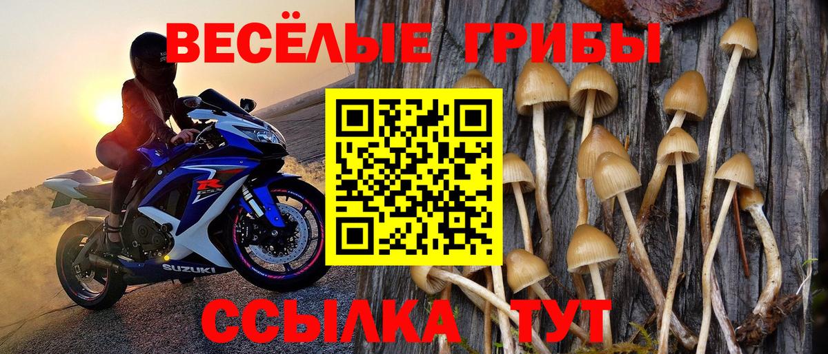 Галлюциногенные грибы ЛСД Советская Гавань